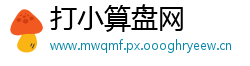 打小算盘网
